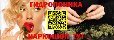 стаф Малгобек
