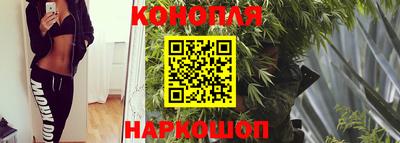 стаф Малгобек