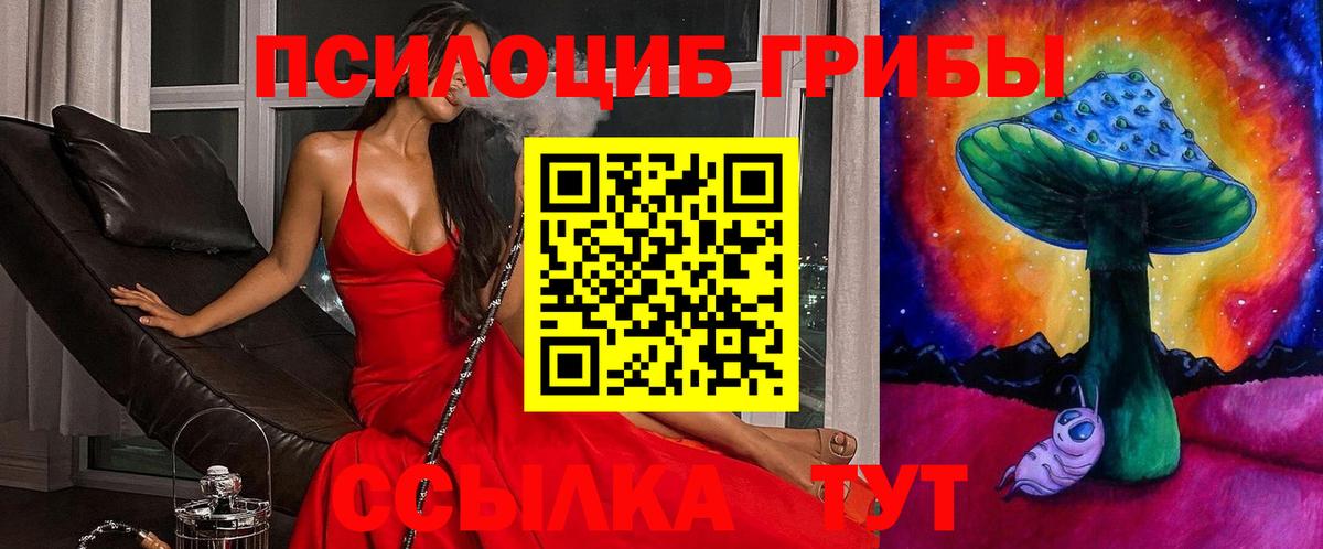 Волгодонск  Галлюциногенные грибы MAGIC MUSHROOMS  Галлюциногенные грибы Psilocybe  купить наркоту  Вход с VPN 