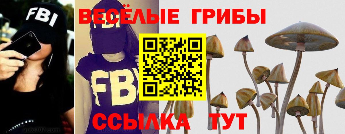 Галлюциногенные грибы Cubensis Волгодонск